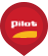 pilot.png
